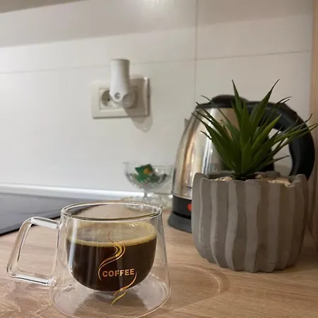 Апартаменты Oasis Luxury Near Presidential Palace