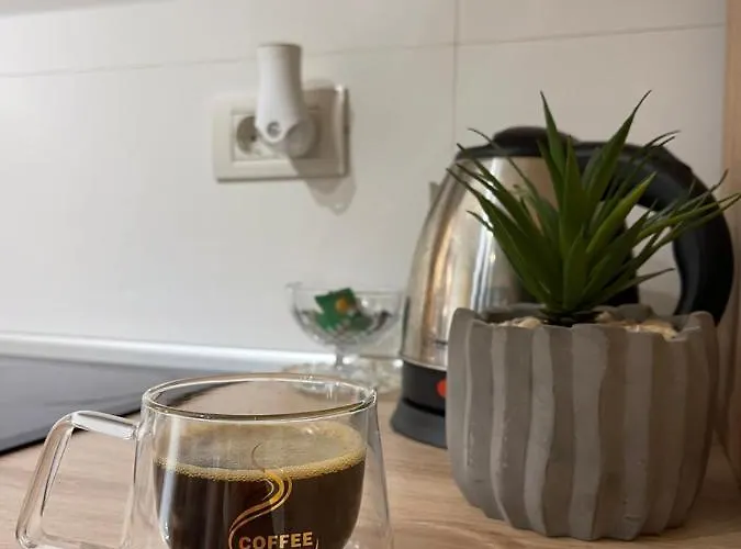 Apartamento Oasis Luxury Near Presidential Palace